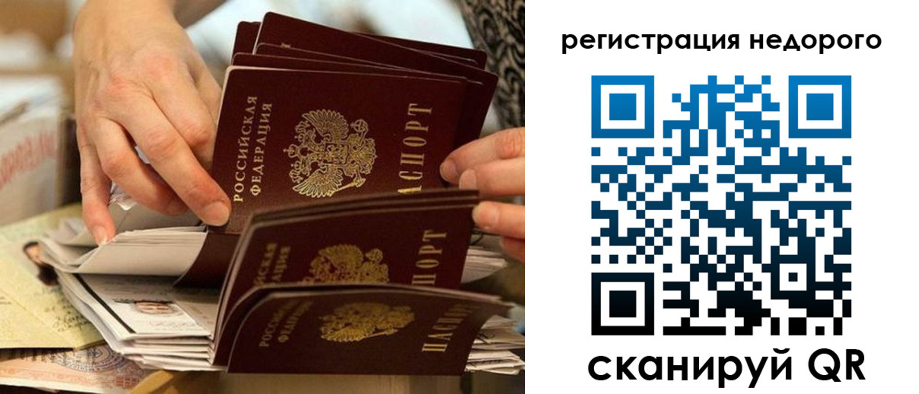 прописка в квартире в Кольчугино